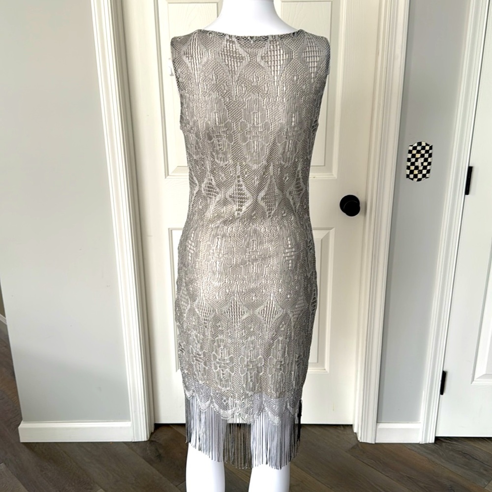 Silver Lace Crochet Bodycon Lined Dress with Fringe Hem Scoop Neck Sleeveless S - Picture 7 of 11